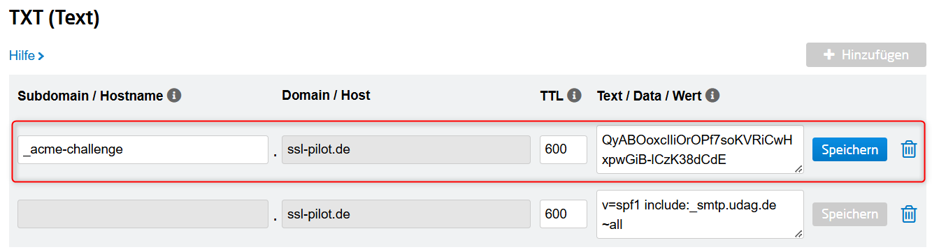 Let’s Encrypt DNS Challenge - Plesk Admin Dashboard
