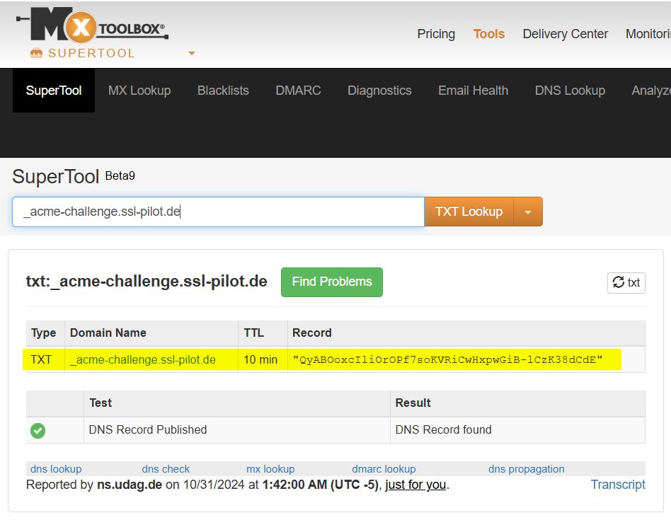 MxToolBox - TXT Record Abfrage