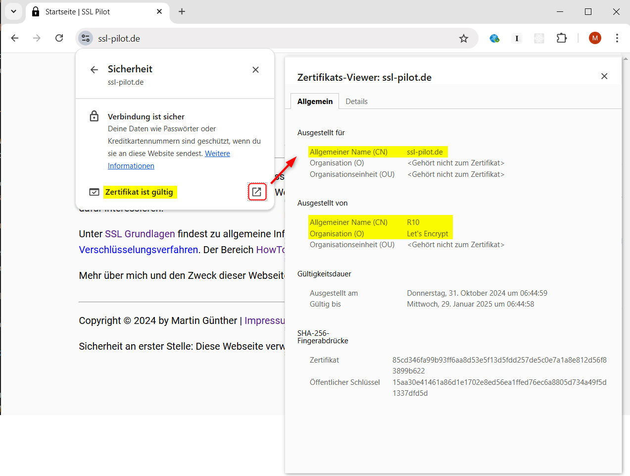 Domain SSL gesichert - Chrome Browser